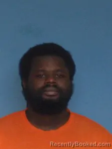 Booking photo from Lonoke County, Arkansas