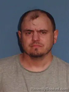 Mugshot of Brian Henry Turner