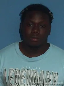 Booking photo from Lonoke County, Arkansas