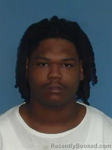 Booking photo from Lonoke County, Arkansas