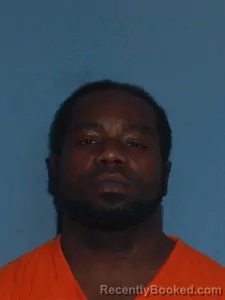 Mugshot of Levelle Ayers