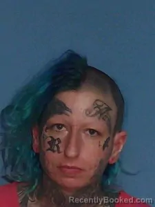 Mugshot of Brittany Delores Medlin