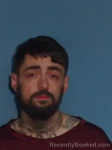 Mugshot of Aaron Dalton Turley