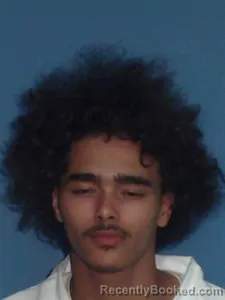 Mugshot of Jeremiah T Gibson