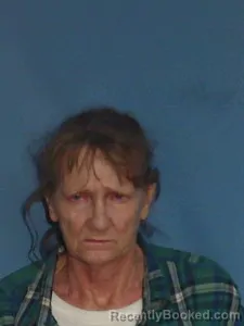 Mugshot of Robin Gail Clark-Burkhalter