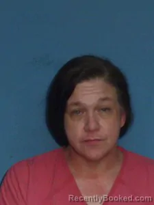 Mugshot of Julie Alane Mcgee