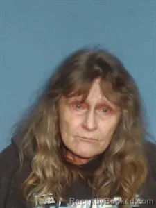 Mugshot of Wanda Sue Vickers booked in Lonoke County, Arkansas on April 15, 2026