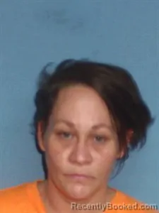 Mugshot of Shannon Lin Pickard-Brawley booked in Lonoke County, Arkansas on April 27, 2026