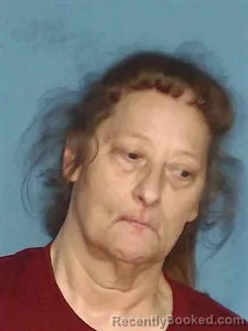 Mugshot of Connie Mcfadden-Boese booked in Lonoke County, Arkansas on May 3, 2026