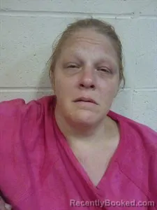 Mugshot of Crystal MARIE Childers booked in Lonoke County, Arkansas on June 20, 2026