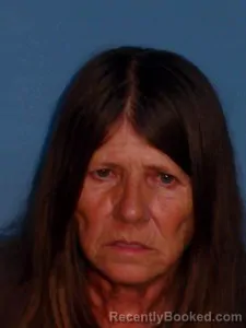 Mugshot of Teresa Lynn Dulaney booked in Lonoke County, Arkansas on July 29, 2026