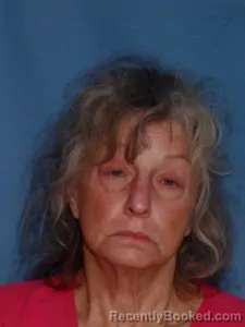 Mugshot of Carol Hulbert Willis booked in Lonoke County, Arkansas on August 7, 2026