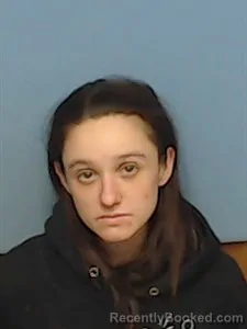 Mugshot of Sabrina Michelle Hudson