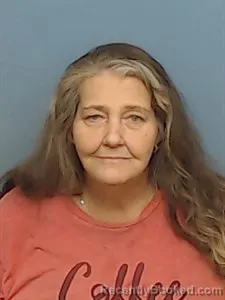 Mugshot of Chrisel Renee Frazier