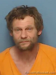 Mugshot of Darvin Wayne Mcelhaney