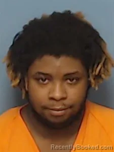 Mugshot of Xavian James Karriem
