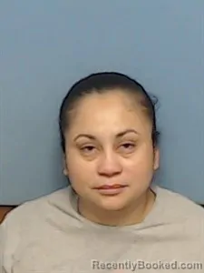 Mugshot of Idalia Magali Lopez Chavez