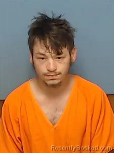 Mugshot of Joshua Zebdiah Feole