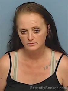 Mugshot of Virginia Lynn Guinn