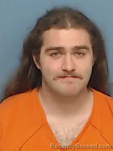 Mugshot of Ian Dominck Malloy