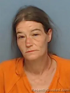 Mugshot of Brenda Jean Tighe