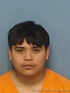 Mugshot of Efrain Alberto Hernandez Almengor booked in Madison County, Arkansas on March 28, 2026