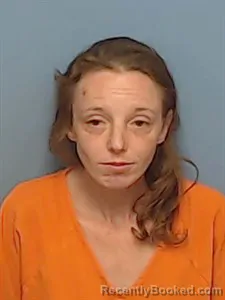 Mugshot of Gabrielle Star Nolan Phillips booked in Madison County, Arkansas on March 28, 2026