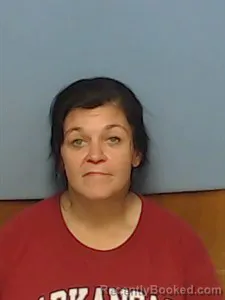 Mugshot of Tina Michelle Brumley booked in Madison County, Arkansas on May 12, 2026