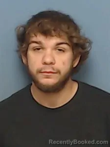 Mugshot of Landon Zachary Todd booked in Madison County, Arkansas on June 14, 2026