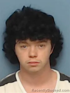 Mugshot of Arles Andrew Barksdale booked in Madison County, Arkansas on June 21, 2026