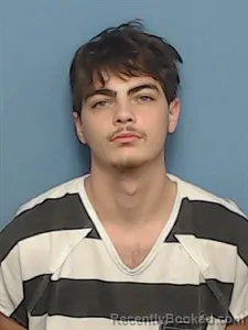 Mugshot of Jayden N/A Ademovic booked in Madison County, Arkansas on June 23, 2026