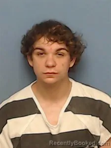 Mugshot of Landon Zachary Todd booked in Madison County, Arkansas on June 28, 2026