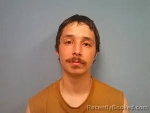 Mugshot of Jackson Earl Gloe booked in Madison County, Arkansas on July 2, 2026