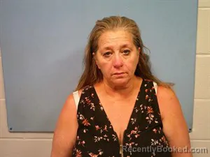 Mugshot of Lori Ann Jones booked in Madison County, Arkansas on July 11, 2026