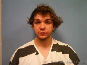 Mugshot of Landon Zachary Todd booked in Madison County, Arkansas on July 12, 2026