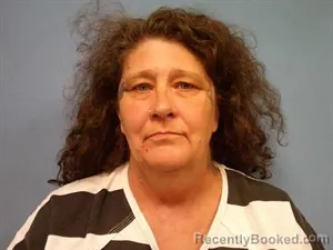 Mugshot of Nanette Case booked in Madison County, Arkansas on July 14, 2026