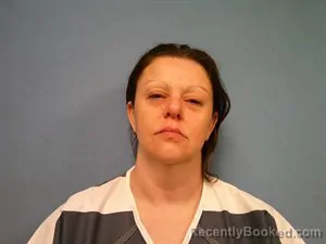 Mugshot of Erin Stacy Perkins booked in Madison County, Arkansas on July 24, 2026