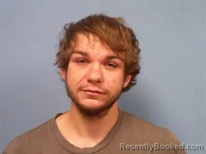 Mugshot of Landon Zachary Todd booked in Madison County, Arkansas on August 2, 2026
