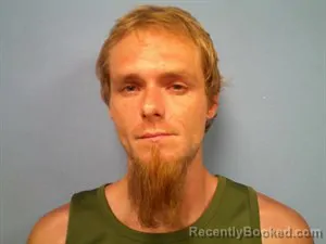Mugshot of Jonathan Howard Reynolds booked in Madison County, Arkansas on August 2, 2026