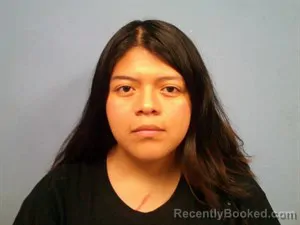 Mugshot of Isabel Guadalupe Yac-Olivera booked in Madison County, Arkansas on August 4, 2026