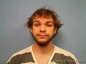 Mugshot of Landon Zachary Todd booked in Madison County, Arkansas on August 16, 2026