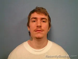 Mugshot of Bradley Dean Breedlove booked in Madison County, Arkansas on August 19, 2026