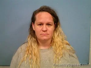 Mugshot of Meagan Rose Wilson booked in Madison County, Arkansas on October 22, 2026