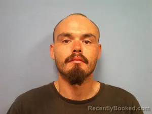 Mugshot of Dakota Dewayne Hutchison booked in Madison County, Arkansas on October 24, 2026