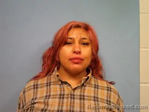 Mugshot of Michelle Christine Rogers booked in Madison County, Arkansas on October 25, 2026