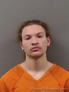 Mugshot of Calvin Lewis Anderson booked in Marion County, Arkansas on April 5, 2026