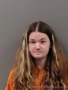 Mugshot of Rachael ELLEN HENDERSON booked in Marion County, Arkansas on April 16, 2026