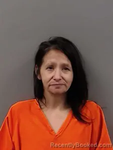 Mugshot of Michelle LEE YOUNGS booked in Marion County, Arkansas on April 26, 2026