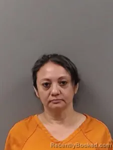 Mugshot of Jessica Griselda Galdamez booked in Marion County, Arkansas on June 15, 2026