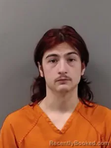 Mugshot of Daniel Asher Wood